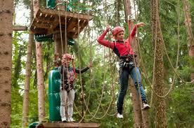 Parco Avventura in Pineta